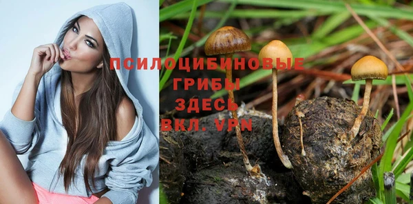 спайс Михайлов